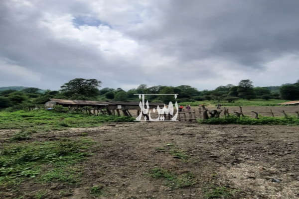 فروش زمین درروستای جنگلی چمبن چلاو ۱۵۰۰ متر-1