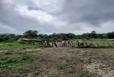 فروش زمین درروستای جنگلی چمبن چلاو ۱۵۰۰ متر