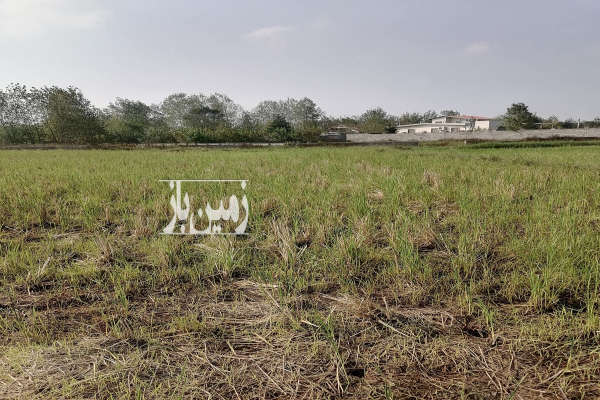 فروش زمین در رشت پیربازار ۲۰۰۰ متر-2