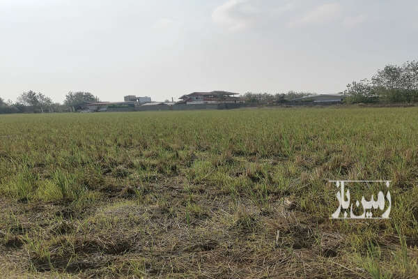 فروش زمین در رشت پیربازار ۲۰۰۰ متر-3