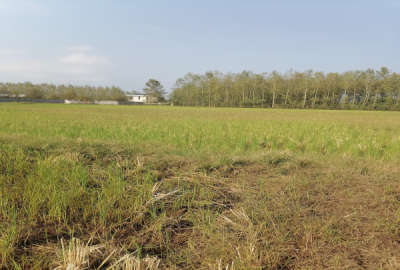 فروش زمین در رشت پیربازار ۲۰۰۰ متر