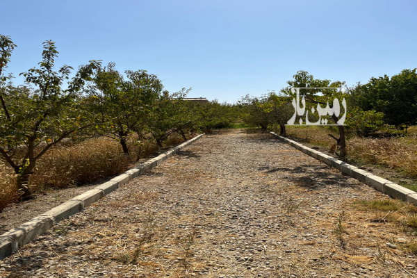 باغ ۱۵۸۰ متر سهیلیه اغلان تپه عباس آباد-2