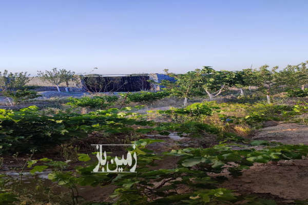 فروش زمین چهاردیواری و درب ماشین رو ۵۵۰ متر-2