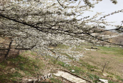 زمین ییلاقی با کلبه ۱۶۰۰ متر