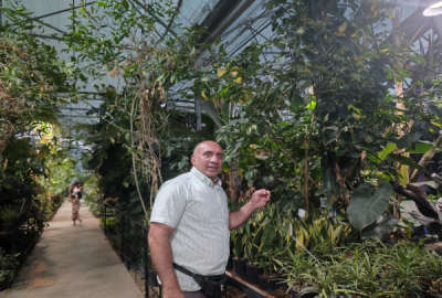 باغ ۹۴۶متر جنب پمپ بنزین عباس کلا شهرک فجر