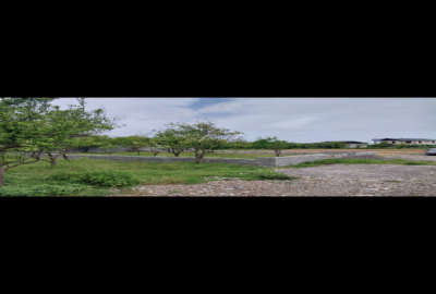 زمین ۲۵۰ متر کمربندی اصلی جاده گراکو ضلع شمالی کریم آباد