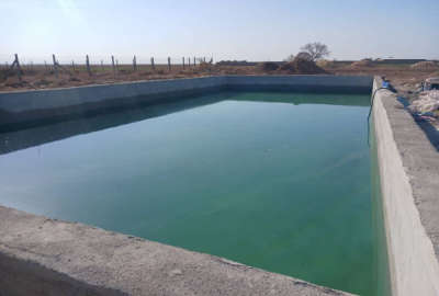 فروش باغ ۳۰۰۰ متری چهاردیواری درختکاری شده با بنا