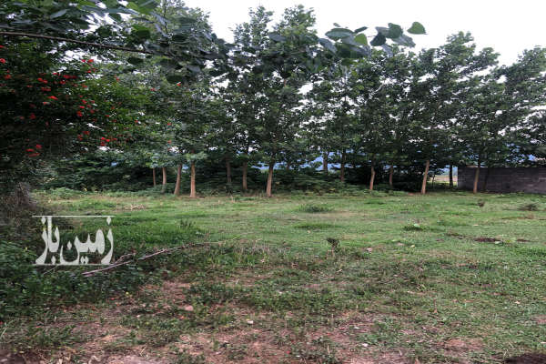 فروش زمین مسکونی مالفجان ویو ابدی ۱۲۰۰ متر-1