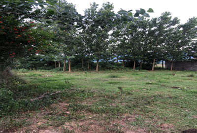 فروش زمین مسکونی مالفجان ویو ابدی ۱۲۰۰ متر