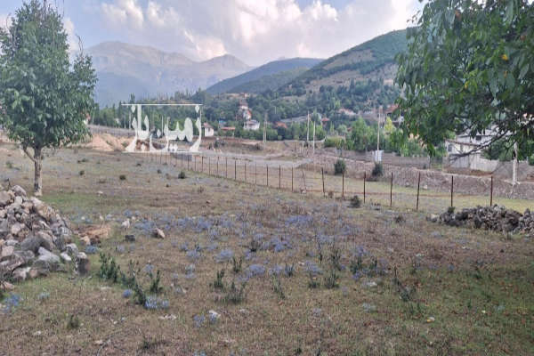 فروش ۴۰۸ متر زمین در جاده موزه کندلوس-2