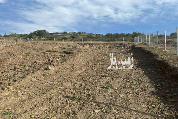 فروش زمین مسکونی ییلاقی ۹۵۰ متر در تالش-2