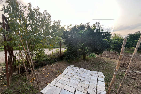 زمین ۱۰۱ متر داخل بافت با امتیازات کامل روستای بندافروز-1