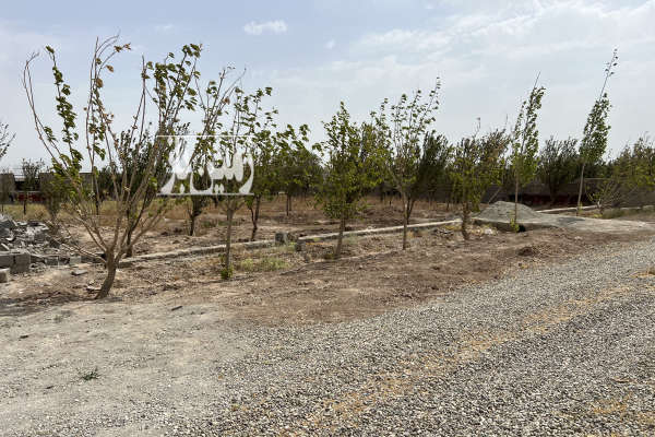 زمین سند شش دانگ تک برگ ۲۴۰۰ متری ملارد بیدگنه-1