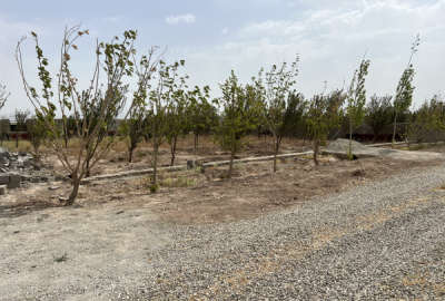 زمین سند شش دانگ تک برگ ۲۴۰۰ متری ملارد بیدگنه