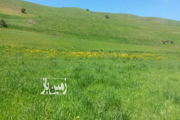 فروش یک هکتار زمین کشاورزی دیمی پایین روستای کهنه ده-1