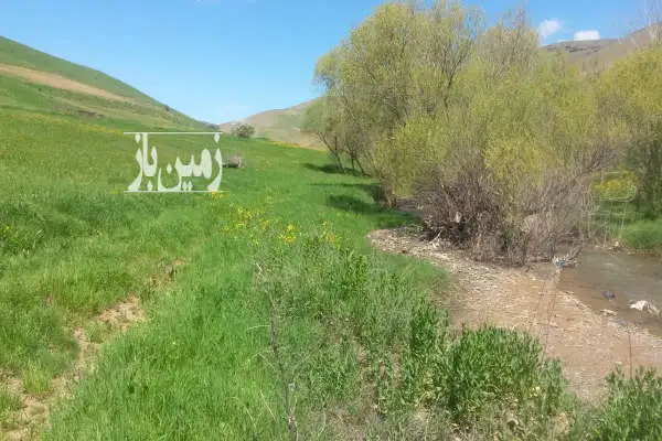 فروش یک هکتار زمین کشاورزی دیمی پایین روستای کهنه ده - تصویر 2