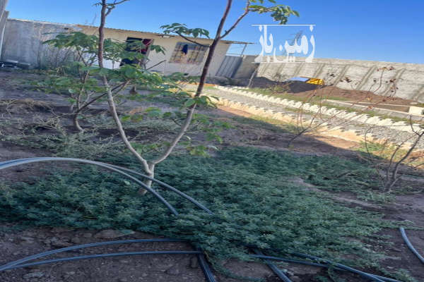 باغچه ۲۵۰ متری سند تک برگ با چاه آب در حصار محتر-1
