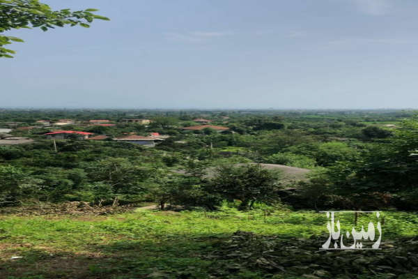 زمین۶۵۰ متر واقع درشیرود تنکابن-1