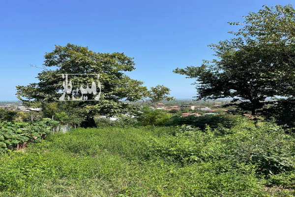 زمین۶۵۰ متر واقع درشیرود تنکابن-3