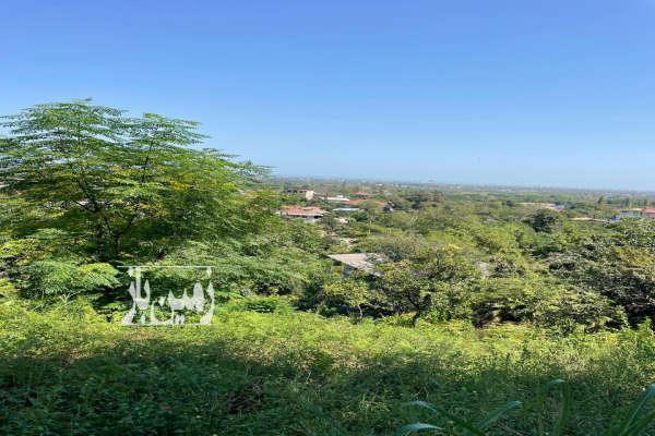 زمین۶۵۰ متر واقع درشیرود تنکابن-4