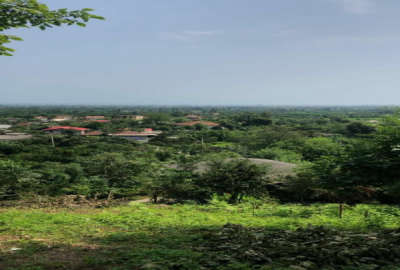 زمین۶۵۰ متر واقع درشیرود تنکابن