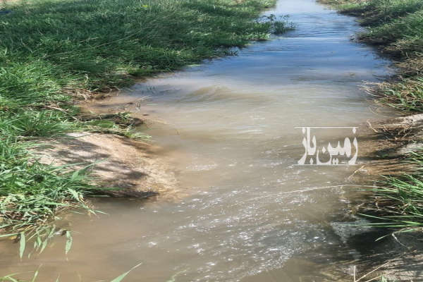 دو هکتار زمین زراعی و ۱ هکتار باغ انگور روستای خرم آباد-3