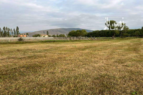 زمین منطقه ییلاقی کجور ۳۰۰ متر-1