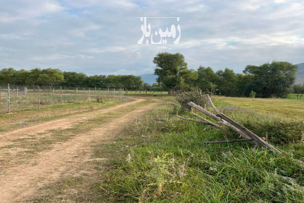 زمین منطقه ییلاقی کجور ۳۰۰ متر-3