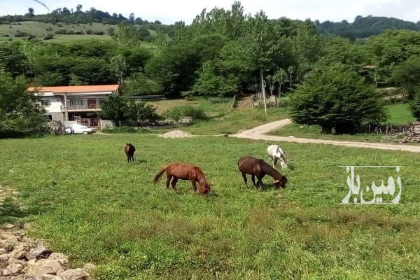 فروش یه قعطه زمین در بافت در جاده کیاسر ۲۶۰ متر-1