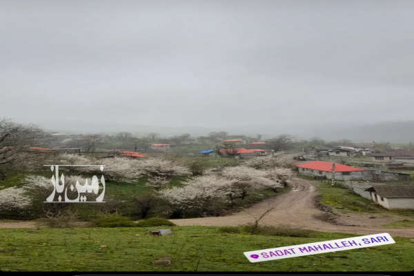 فروش یه قعطه زمین در بافت در جاده کیاسر ۲۶۰ متر-4