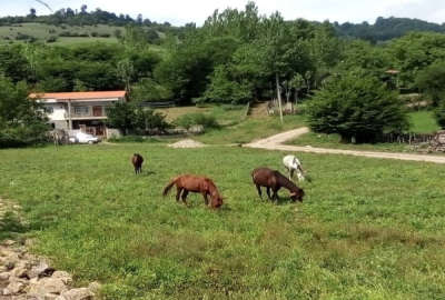 فروش یه قعطه زمین در بافت در جاده کیاسر ۲۶۰ متر
