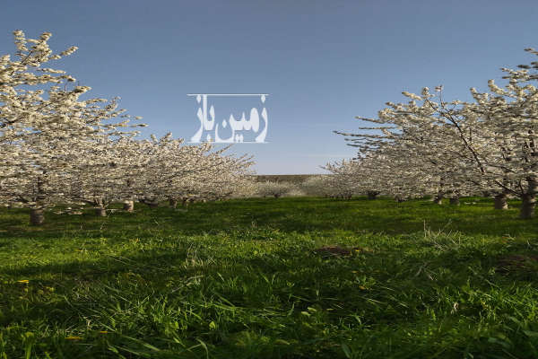 یک قطعه باغ ۱۰۰۰۰ متر اردبیل مشگین شهر-4