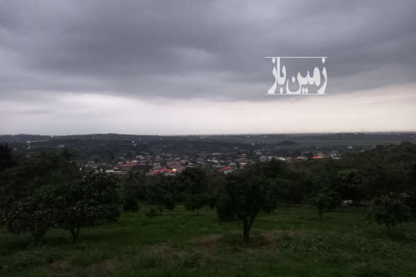 زمین ویو عالی پروانه و برگه سبز ساخت دارد ۴۵۰۰ متر-1