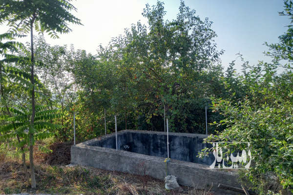 زمین ویو عالی پروانه و برگه سبز ساخت دارد ۴۵۰۰ متر-2