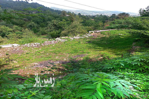 زمین ۵۵۰ متر روستای آبرود جاده فومن به ماسوله-1