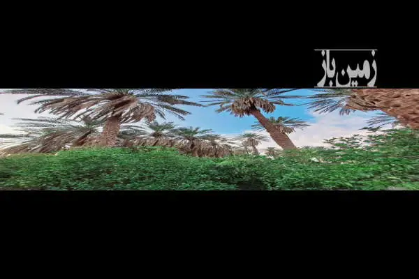 باغ مرکبات ۱۴۵۰ متر مناسب ساخت هتل شهداد ـ خیابان طالقانی - تصویر 2