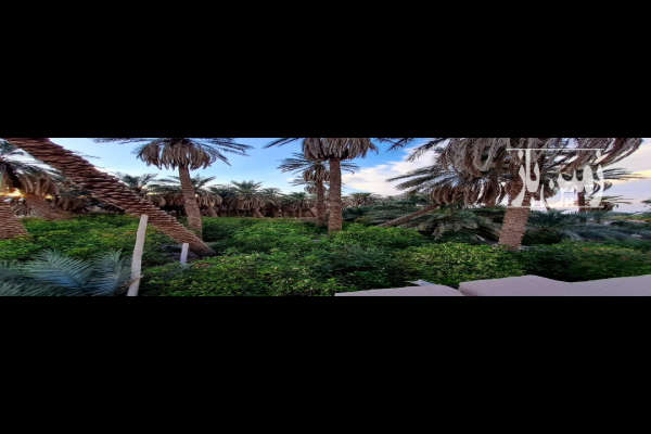 باغ مرکبات ۱۴۵۰ متر مناسب ساخت هتل شهداد ـ خیابان طالقانی-4