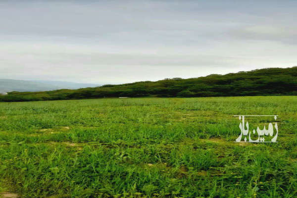زمین ۴۰۰۰ متر در روستای افراچال با ویو سد شهید رجایی-2