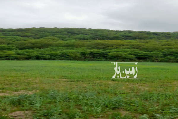 زمین ۴۰۰۰ متر در روستای افراچال با ویو سد شهید رجایی-4