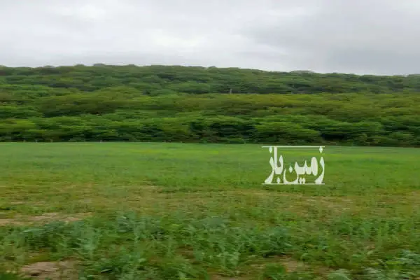 زمین ۴۰۰۰ متر در روستای افراچال با ویو سد شهید رجایی - تصویر 4