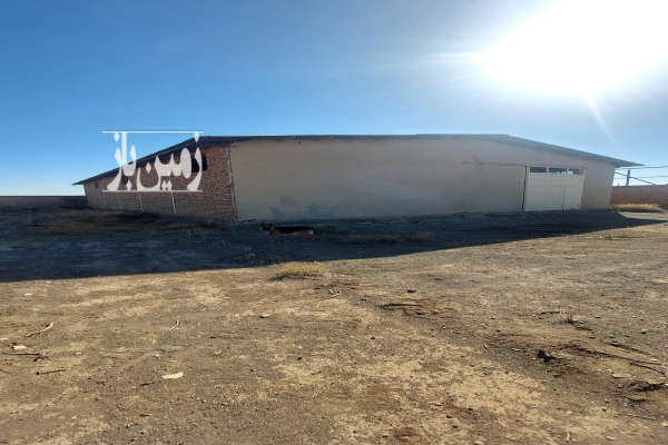 فروش باغ پسته کیلومتر ۶۰ اتوبان تهران ساوه ۲۶ هکتار-3