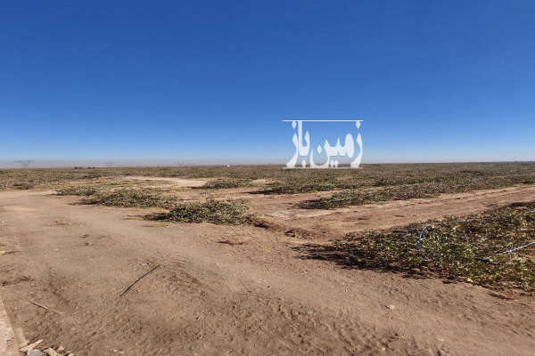 فروش باغ پسته کیلومتر ۶۰ اتوبان تهران ساوه ۲۶ هکتار-4