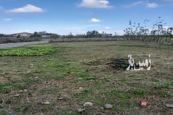 فروش زمین اسالم خلیفه آباد روستای کلسرا ۵۰۰ متر-4