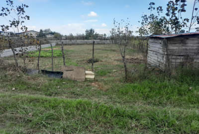 فروش زمین اسالم خلیفه آباد روستای کلسرا ۵۰۰ متر