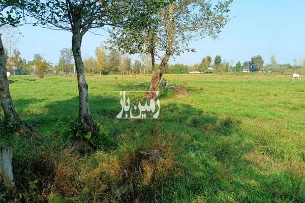 فروش زمین با خانه قدیمی لاهیجان ۱۵۰۰۰ متر - تصویر 3