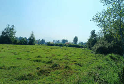 فروش زمین با خانه قدیمی لاهیجان ۱۵۰۰۰ متر