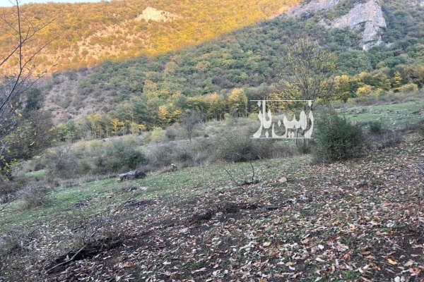 فروش زمین سنددار در دیماکرد نوشهر ۱۶۰۰۰ متر-1