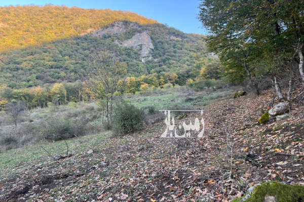 فروش زمین سنددار در دیماکرد نوشهر ۱۶۰۰۰ متر-2