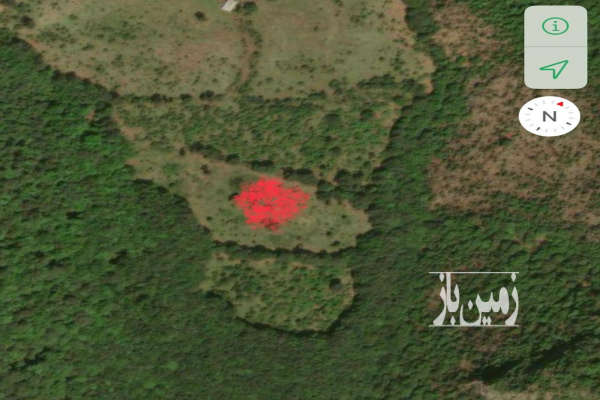 فروش زمین سنددار در دیماکرد نوشهر ۱۶۰۰۰ متر-3