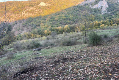 فروش زمین سنددار در دیماکرد نوشهر ۱۶۰۰۰ متر